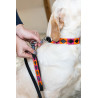 Laisse chien Polo HFI - Noir / orange / rose