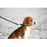 Laisse chien Polo HFI - Marron / émeraude / ocre