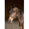 Halter HFI Polo - Bruin / smaragd / oker