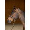 Licol HFI Polo - Marron / marine / or
