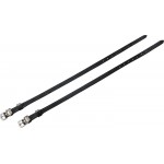 Courroies d'éperons Riding World Couronne