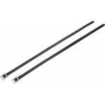 Courroies d'éperons Riding World Cristal