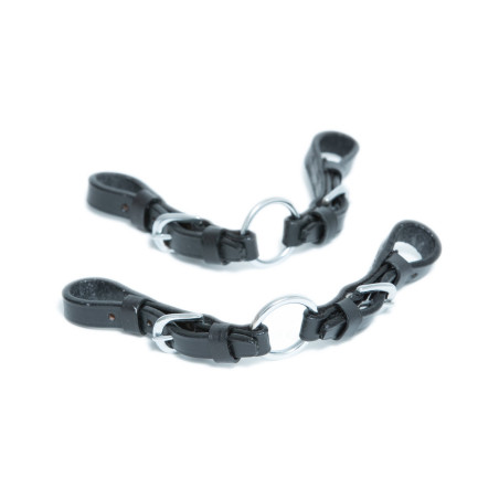 Pelham ringen HFI Master leder ringen