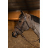 Bridon Combiné Painted HFI Master - Marron