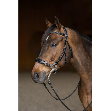 Hackamore Hoofdstel HFI Master