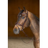 Bridon Pull-back Verona HFI Master Pro Line - Marron / or