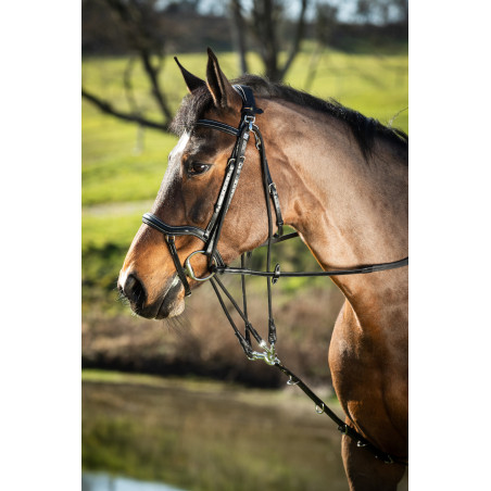 HFI Master leren gogue