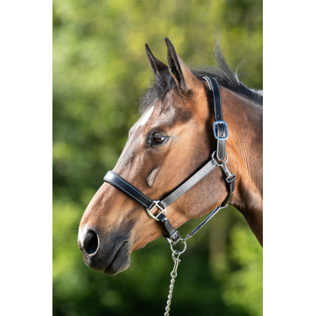 Licol cuir HFI Master cuir double réglage