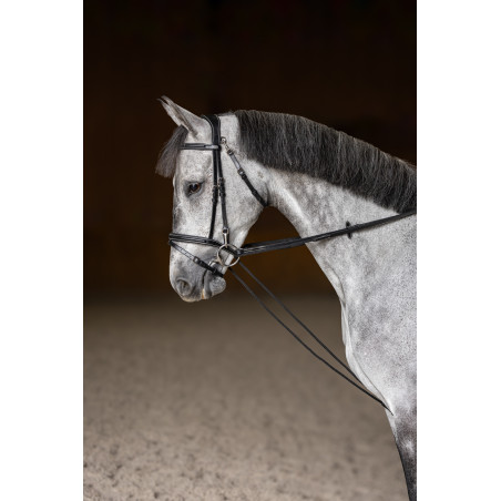 Rênes allemande HFI Master cuir corde