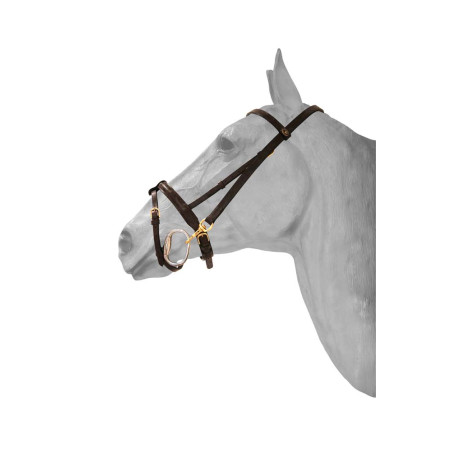 Presentatiehalster met musketon HFI