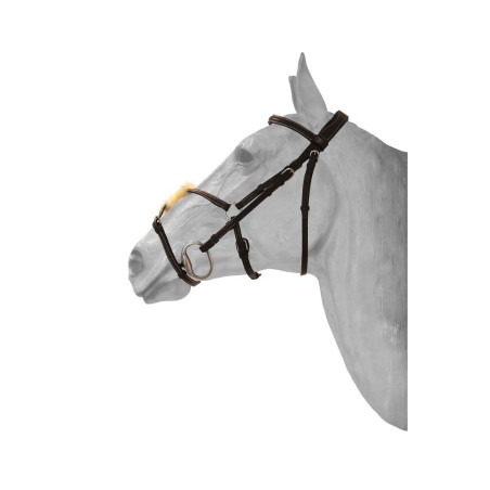 Mexicaanse neusriem hoofdstel HFI