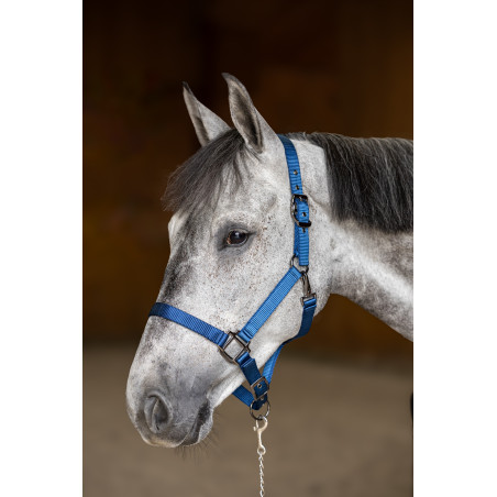 Licol nylon HFI Master