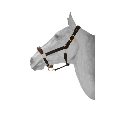 Licol Cuir + diamond HFI