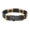 HV Polo Chaya hondenhalsband - Zwart / goud