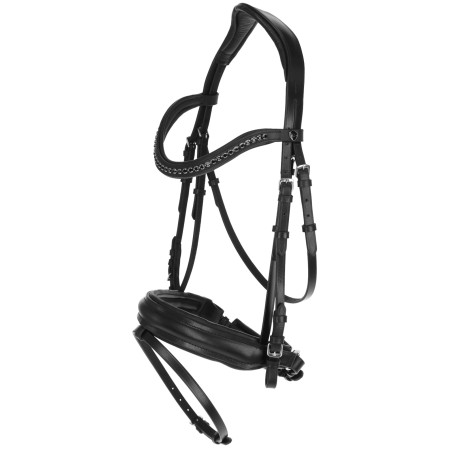 Zweedse hoofdstel Covalliero