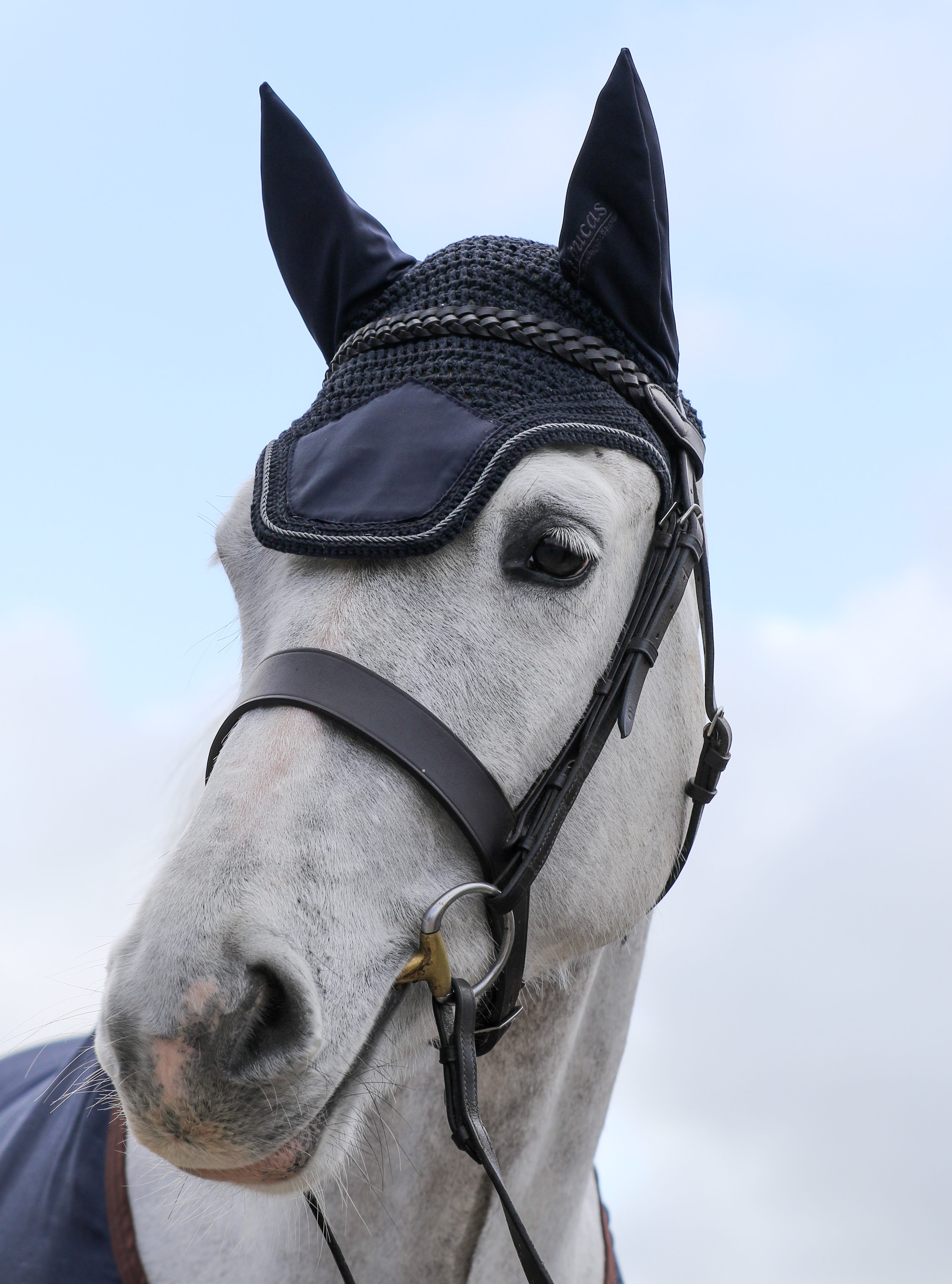 Bonnet anti-mouche Show-Line Marine / gris Bleu