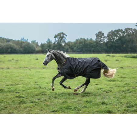 Ierse Turnout Bucas 100g