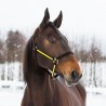 Licol Yankee Finn-Tack nylon 20 mm - Noir / jaune