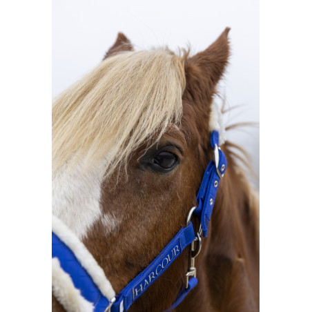 Halster en halstertouw Harcour Teschic