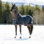 Theo Thermo B Vertigo Deken