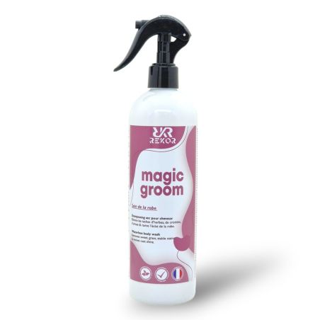 Shampoing sec Rekor Magic Groom
