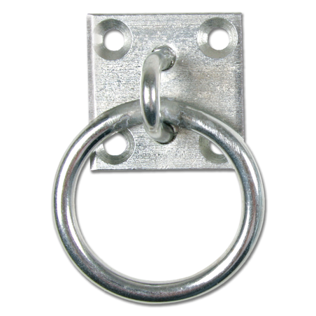 Anneau d’Attache sur Plaque Waldhausen