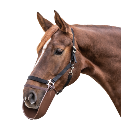 Bavette de bouche Waldhausen