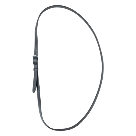 Waldhausen koordplaat voor paardrijden