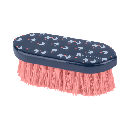 Brosse chiendent Waldhausen Lucky