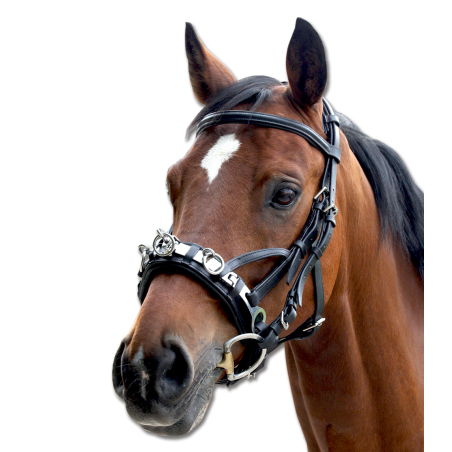 Caveçon en cuir Waldhausen