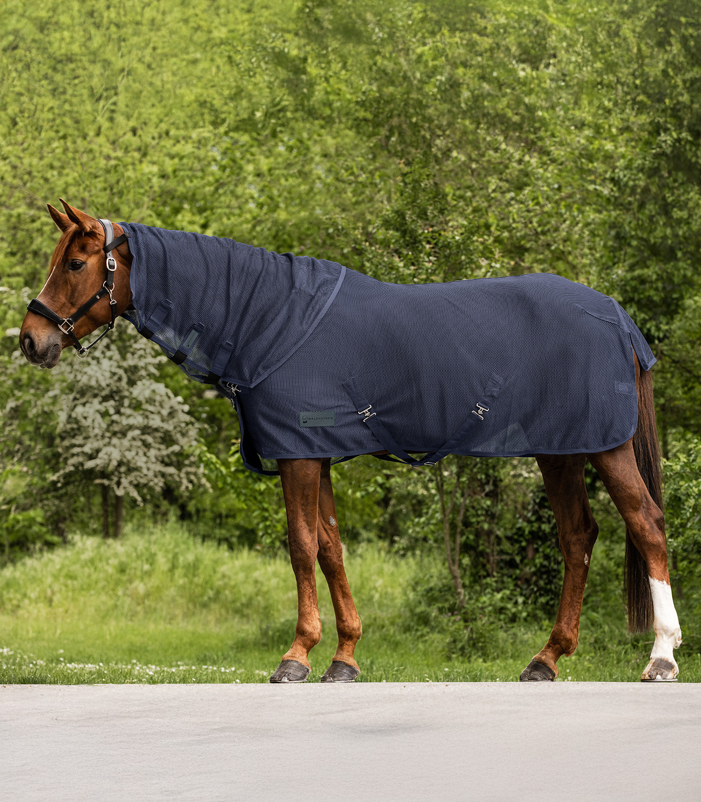 Anti-vlieg halsstuk Waldhausen Comfort Nachtblauw