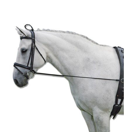 Waldhausen elastische halsverlenger