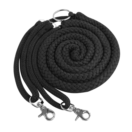 Enrênement spécial Waldhausen