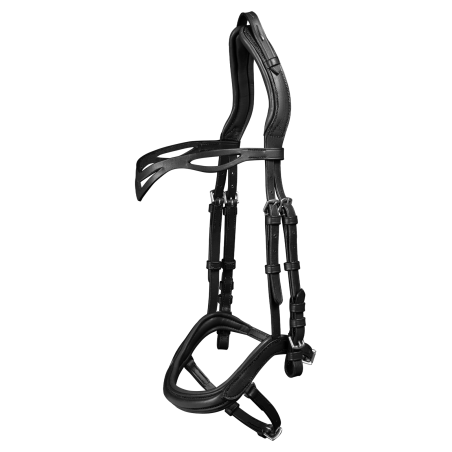 Waldhausen IJslands anatomisch hoofdstel