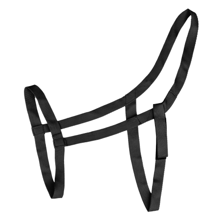 Waldhausen weidehalster