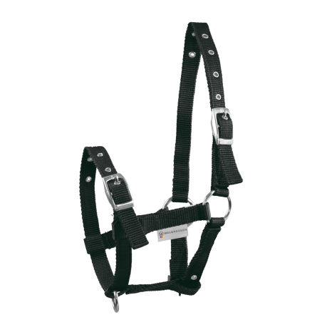 Licol Poulain Waldhausen Triple