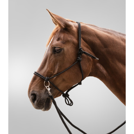 Licol Waldhausen à nœuds avec rênes
