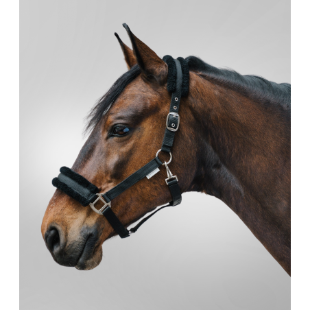 Licol Waldhausen First