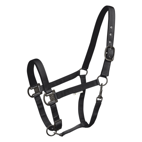 Licol Waldhausen Gloomy