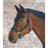 Halter Waldhausen Gloomy - Donkergroen