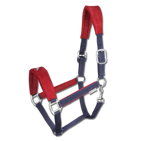 Licol Waldhausen Island Hellnar