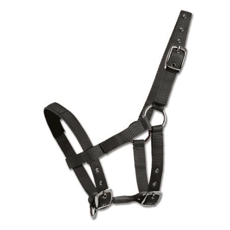 Licol Waldhausen Mini-Shetland