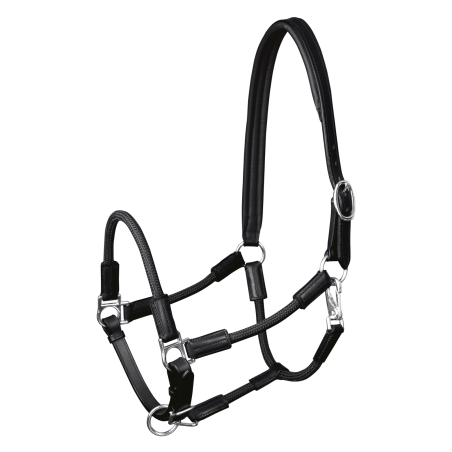 Licol Waldhausen Nevada