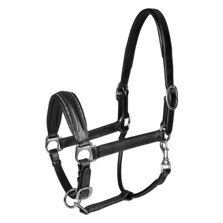 Licol Waldhausen S-Line en cuir Glamour