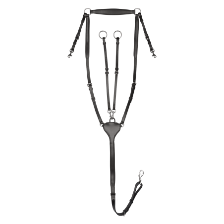 Collier de chasse Waldhausen Professional X-Line