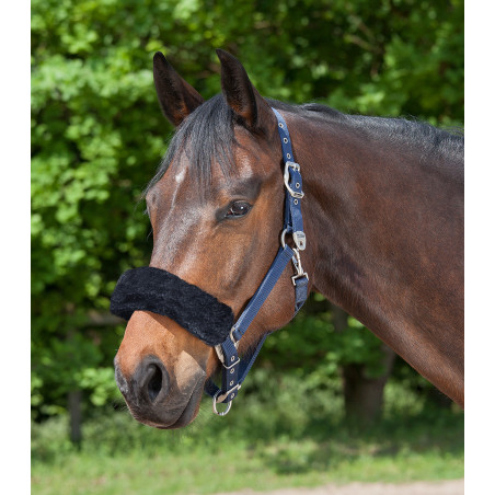 Neusriemhoes Waldhausen