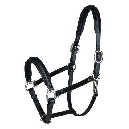 Licol en cuir Waldhausen Classy X-Line