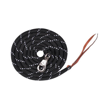 Waldhausen Western Longeerlijn