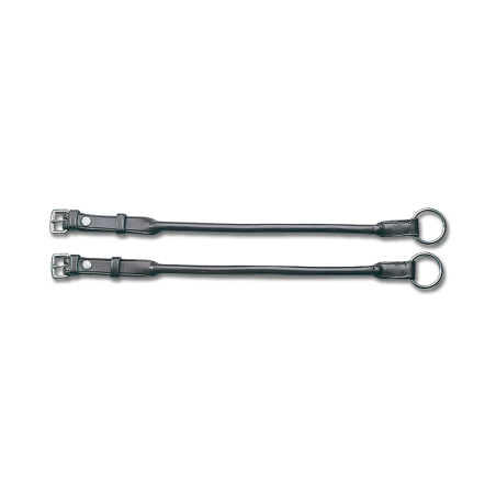 Ophaakbeugels Wembley Waldhausen