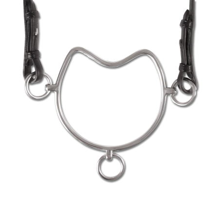 Anti-stijgbeugelbit Waldhausen